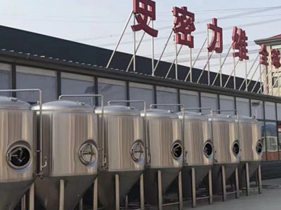 宁明精酿啤酒设备厂—如何判断精酿啤酒设备的密封件需要更换？